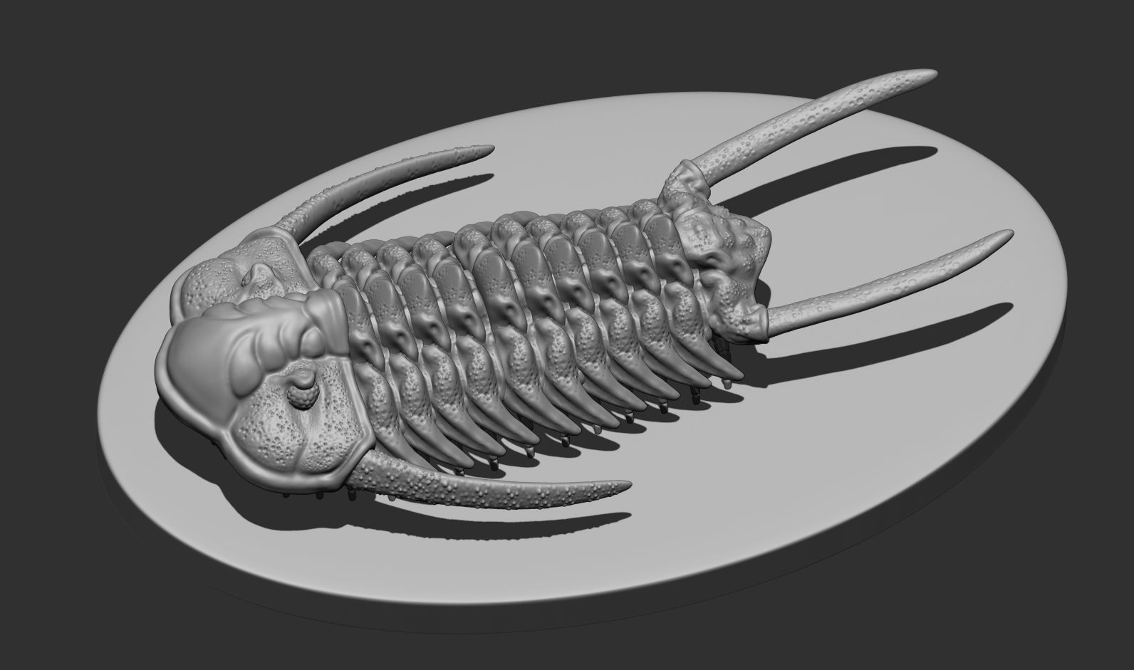 Cheirurus person holding clay trilobite 3D print model_6