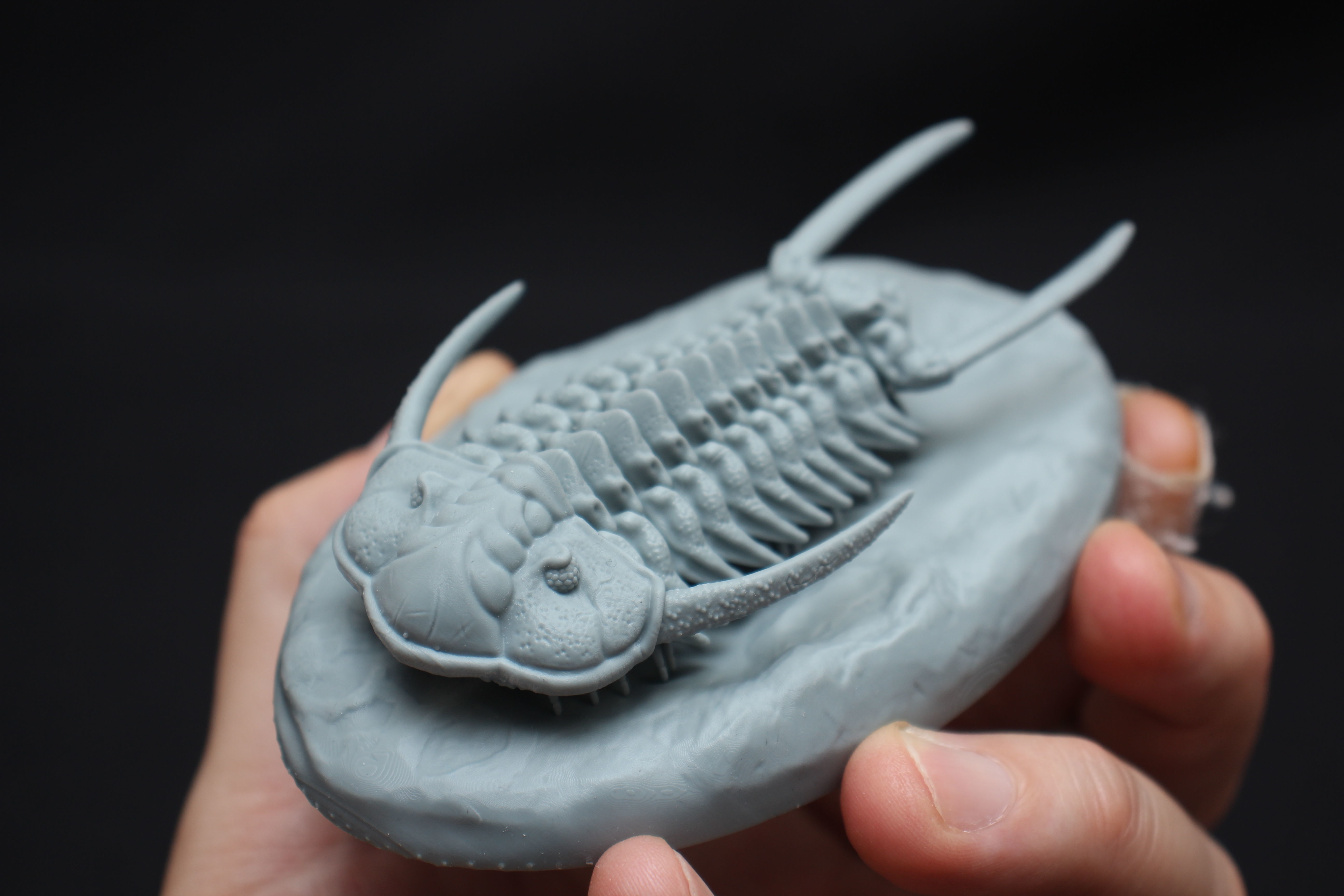 Cheirurus person holding clay trilobite 3D print model_1