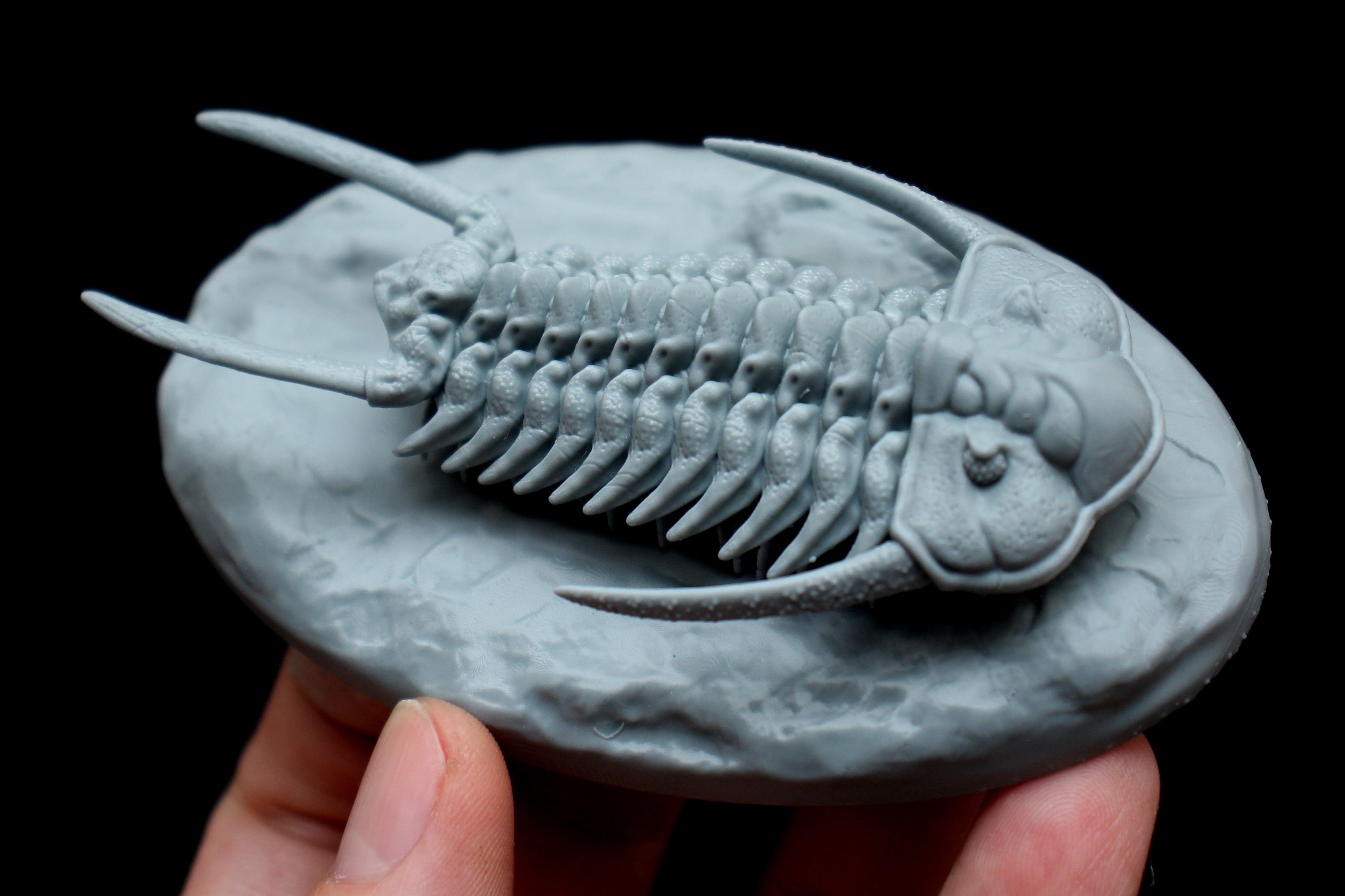 Cheirurus person holding clay trilobite 3D print model_5