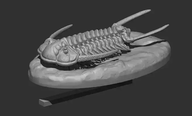 Cheirurus person holding clay trilobite 3D print model