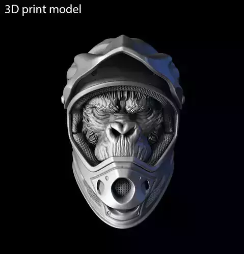 Animal bas relief art Biker monkey home decor art vol 2 