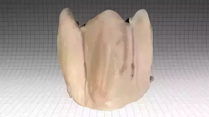 jaw snake mountain 1983 3D print model