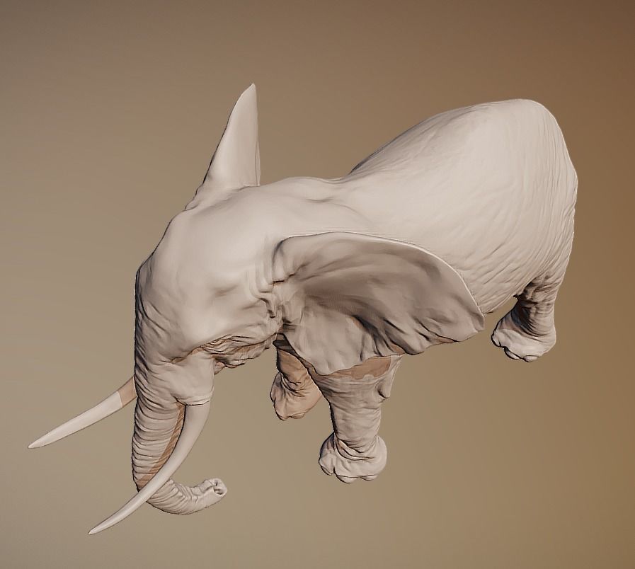 Elephant 3D printable scan 3D print model_5