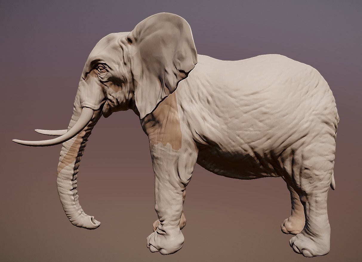 Elephant 3D printable scan 3D print model_3