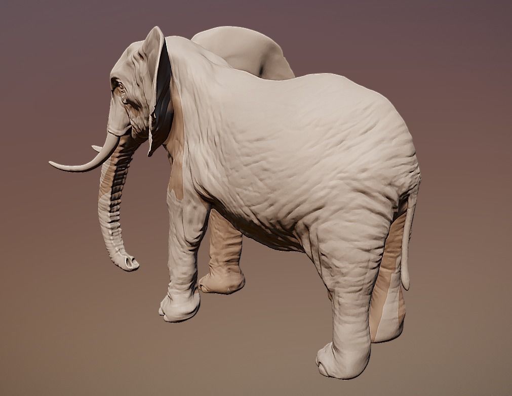 Elephant 3D printable scan 3D print model_2