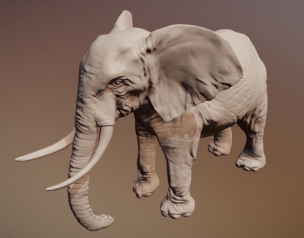 Elephant 3D printable scan 3D print model_1
