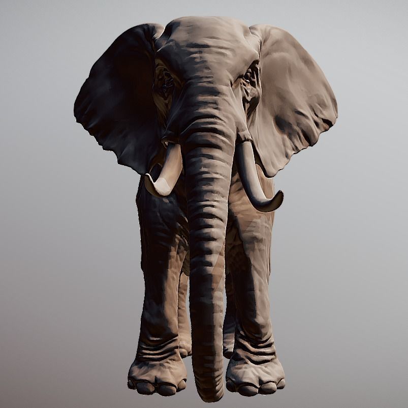 Elephant 3D printable scan 3D print model_4