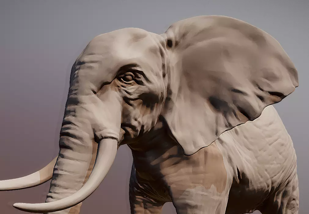 Elephant 3D printable scan 3D print model_0