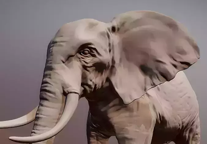 Elephant 3D printable scan