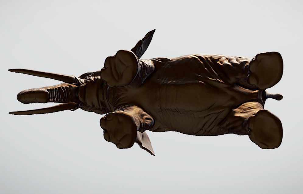 Elephant 3D printable scan 3D print model_7
