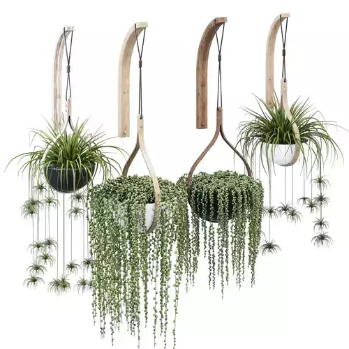Morvah Hanging Planter