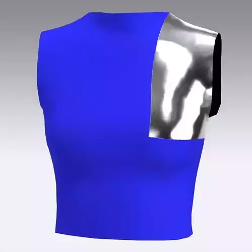 BLOUSE COLOR BLOCK METALIC AND DARK BLUE