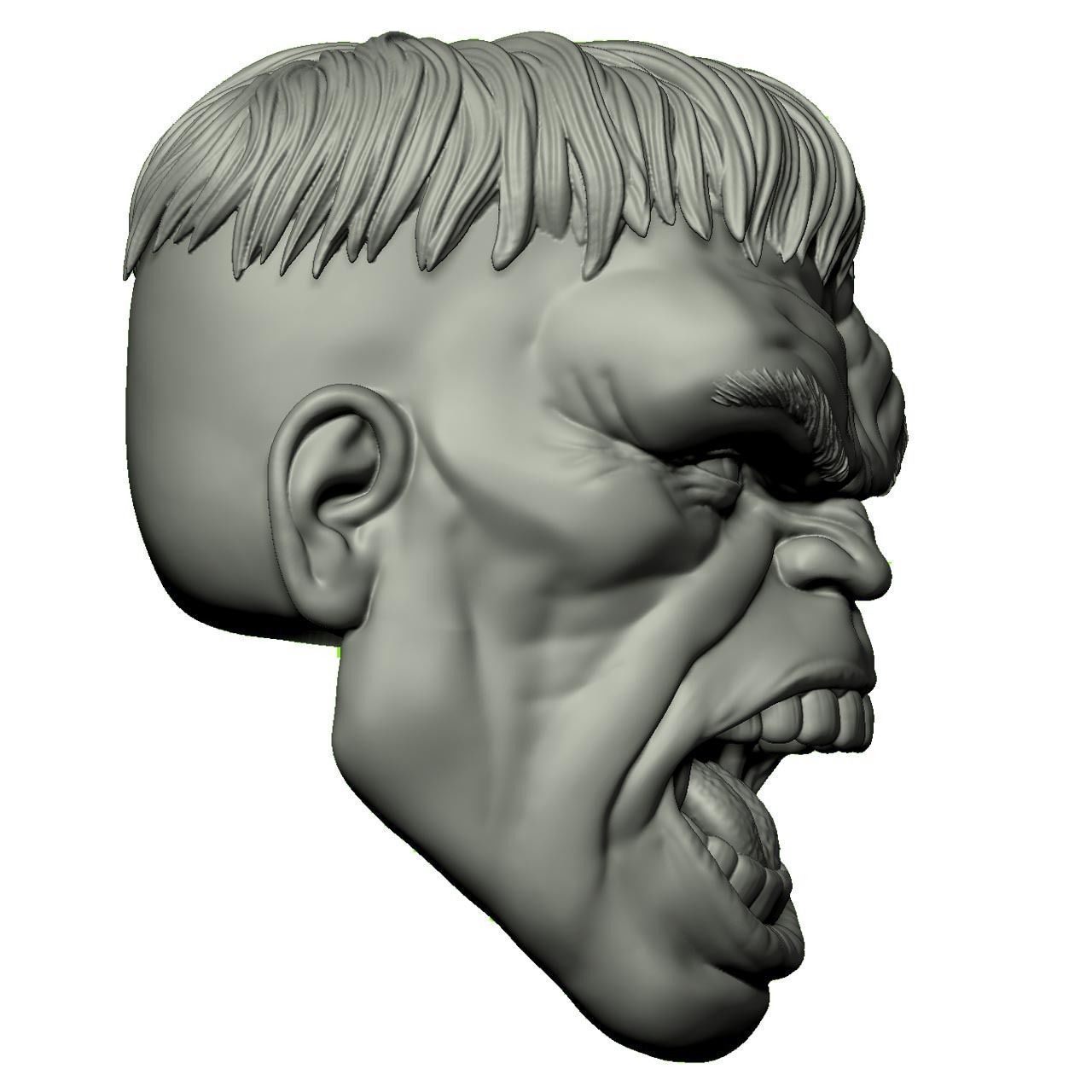 Immortal Hulk 3D print model_11