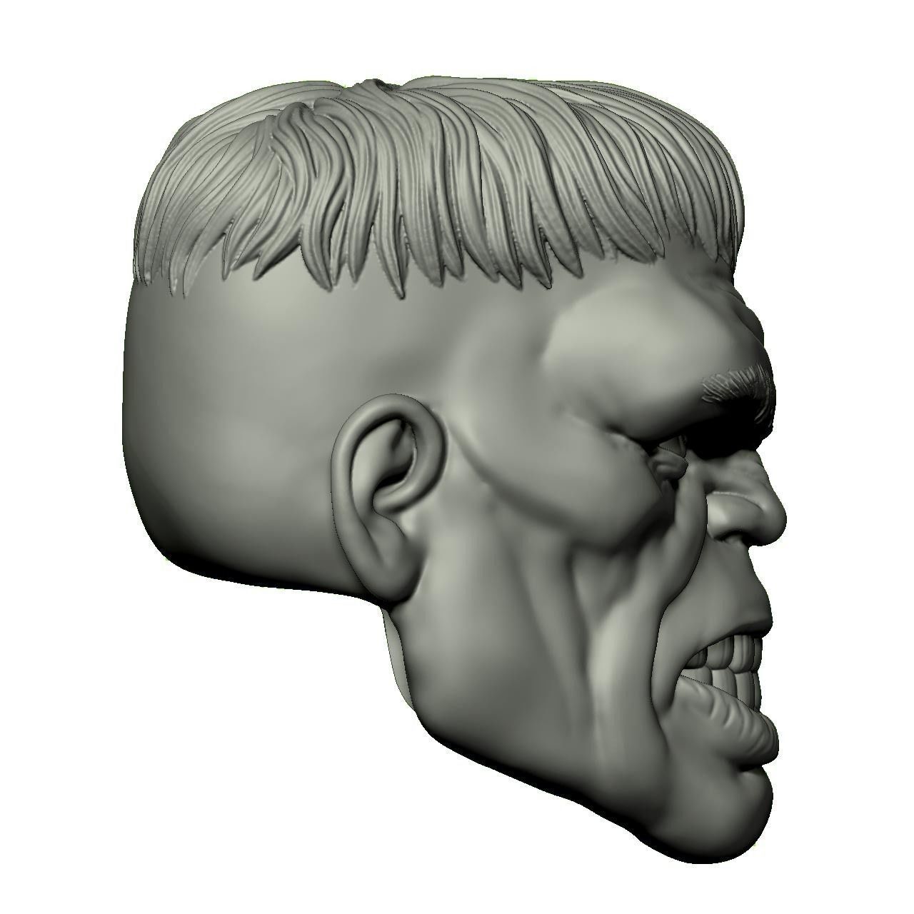 Immortal Hulk 3D print model_10