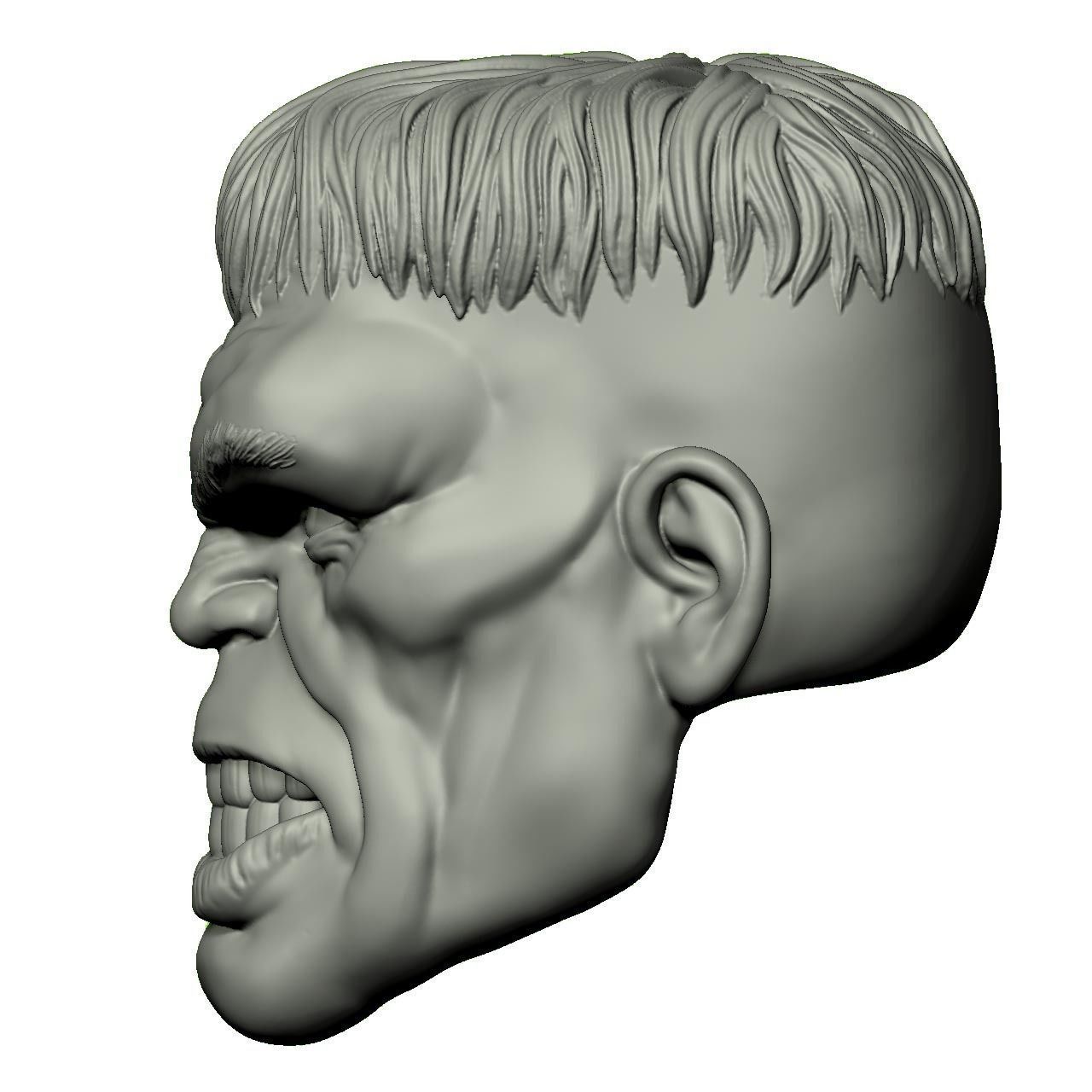 Immortal Hulk 3D print model_12