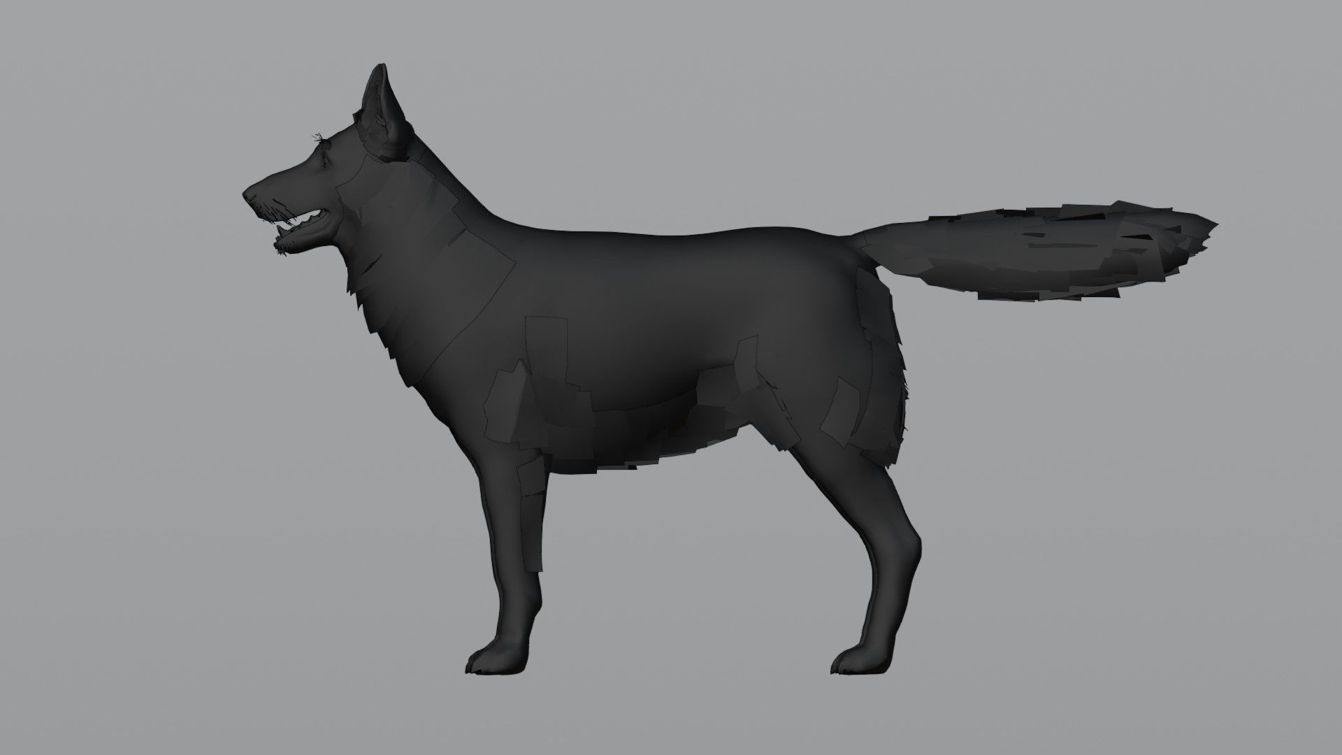 German Shepherd Dog Low-poly 3D model_9