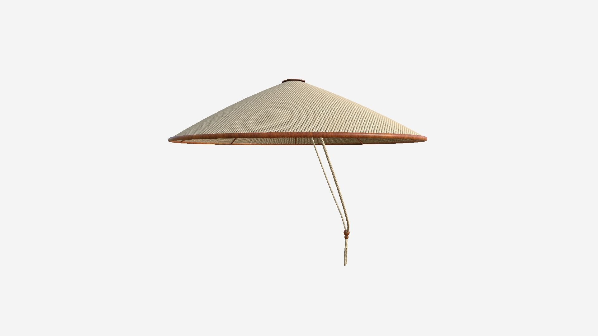 Asian Hat 03 Wood Straw - Character Design Fashion Low-poly 3D model_3