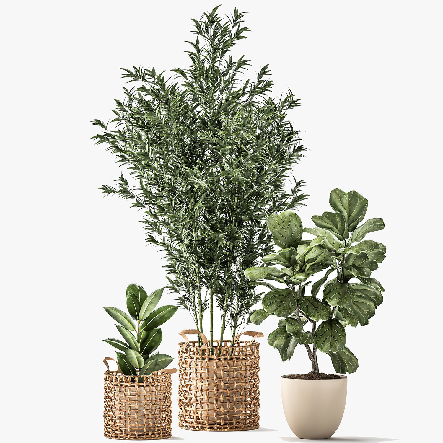 Bamboo and ficus in decorative baskets 1112 3D model_6