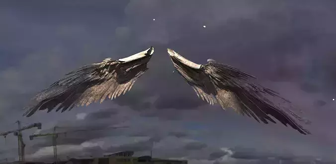 Holy Angel wings Long with UVs 3D model