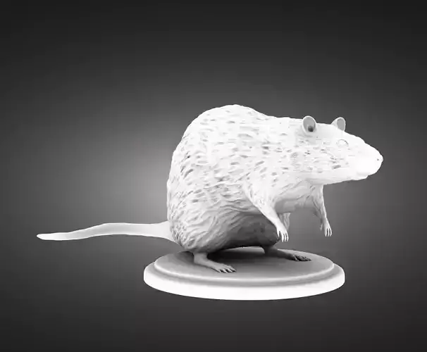 Rat statuette