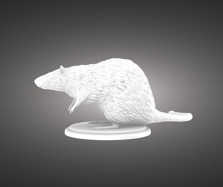 Rat statuette 3D print model_2