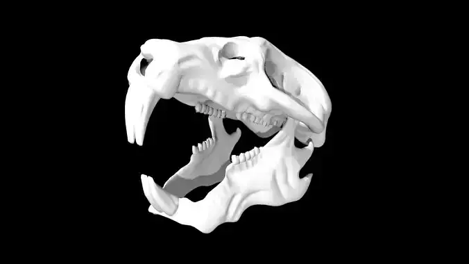 Rat Skull