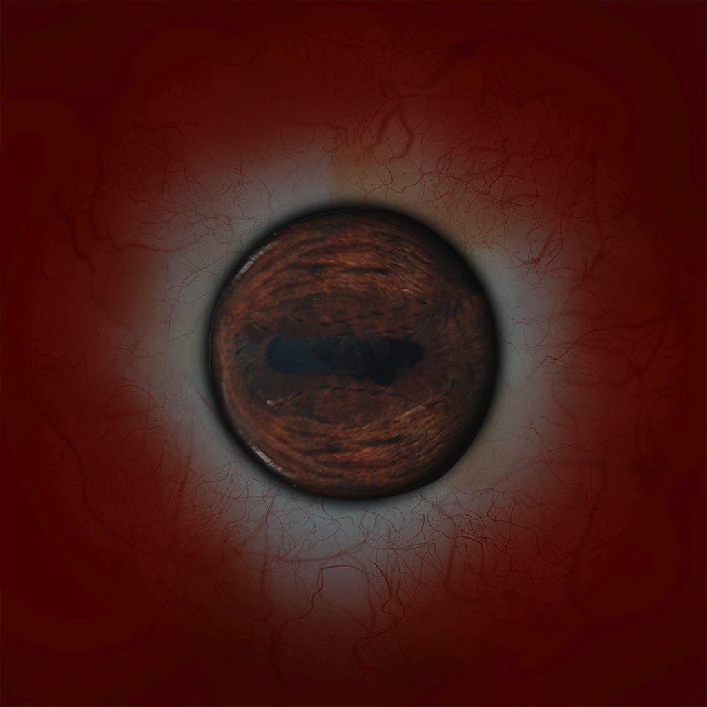 horse2 horse with saddle 3D model_9