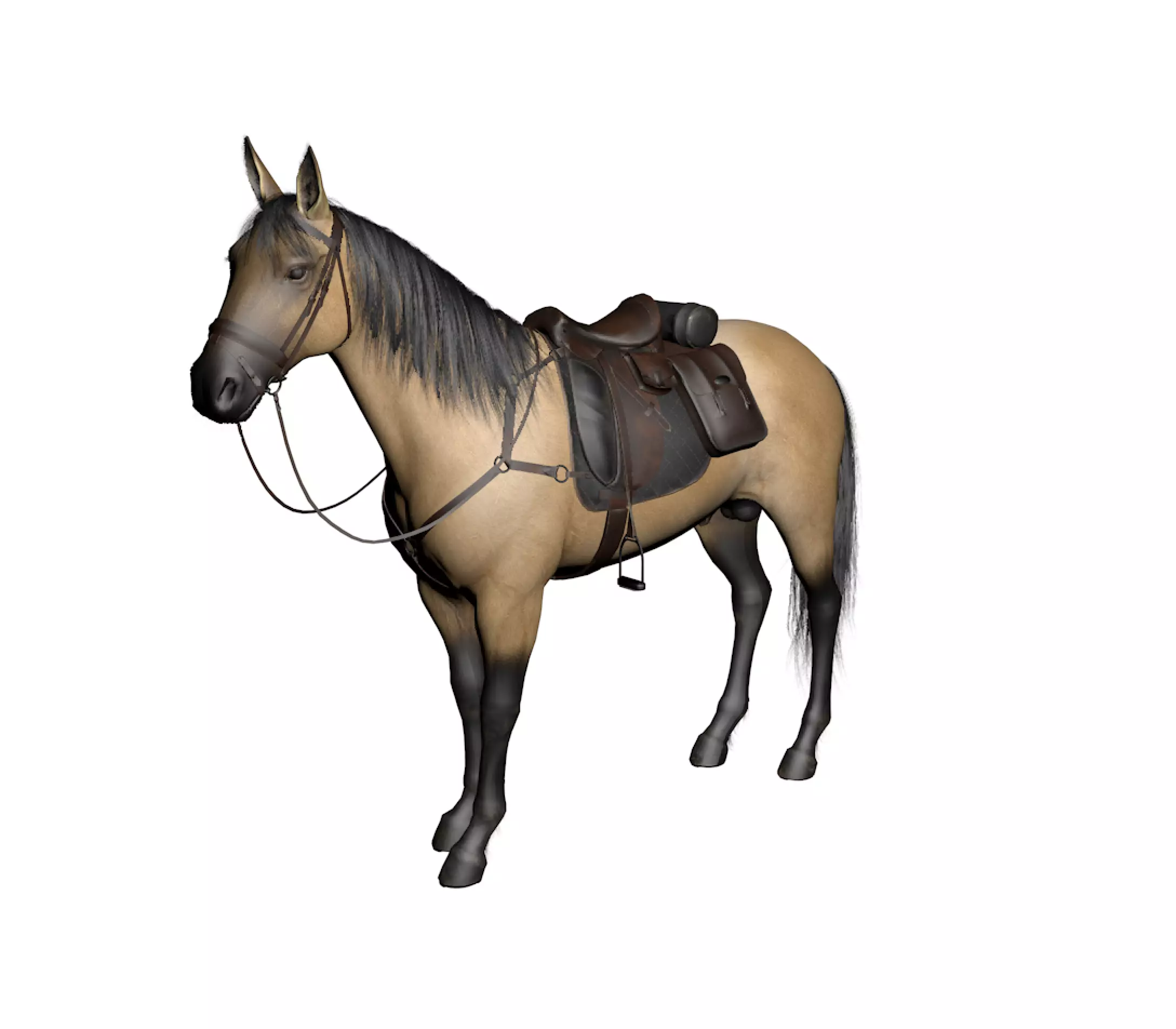 horse2 horse with saddle 3D model_0
