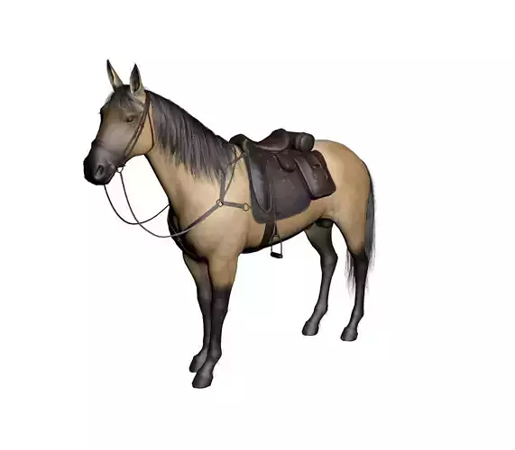 horse2 horse with saddle