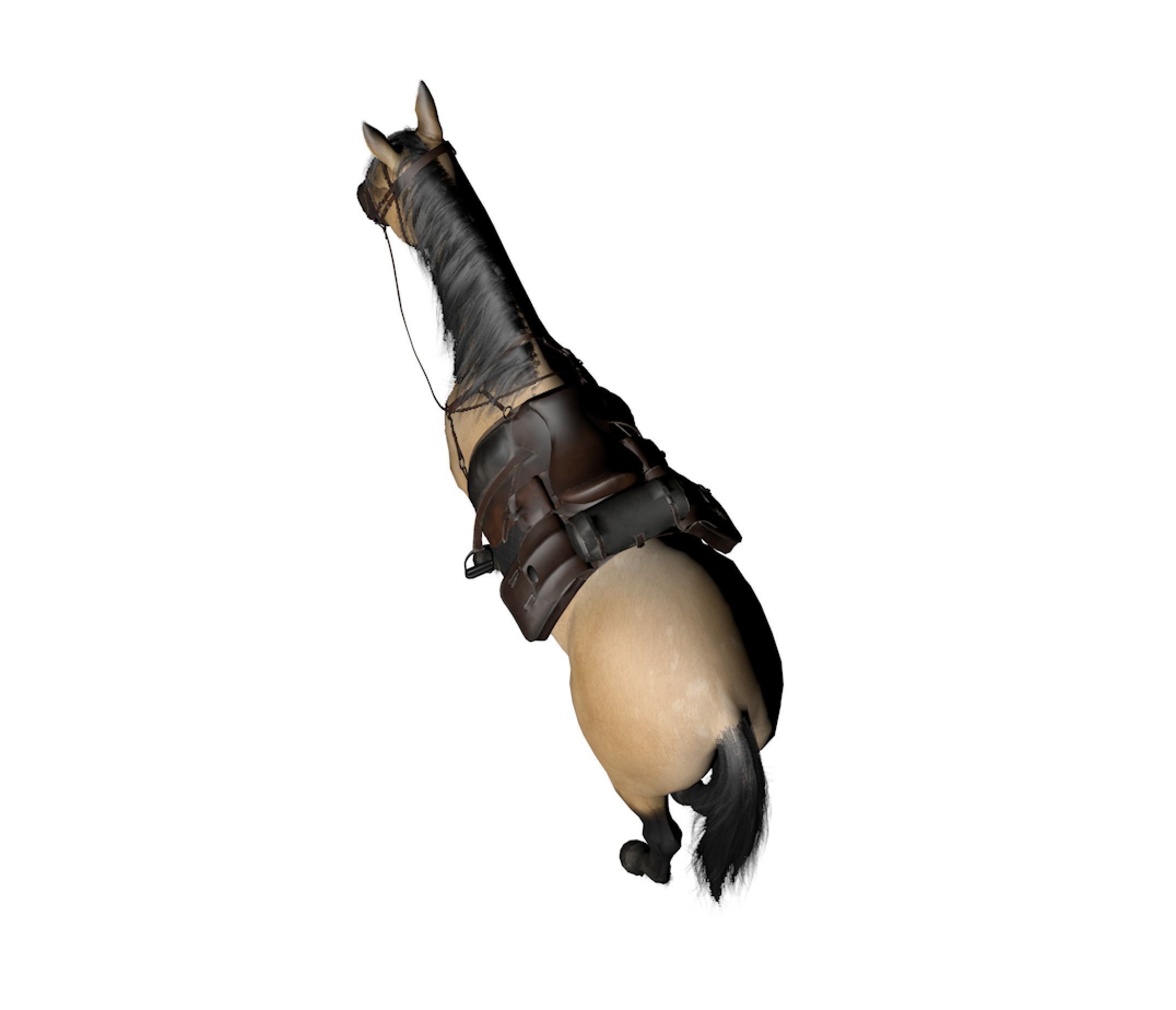 horse2 horse with saddle 3D model_3
