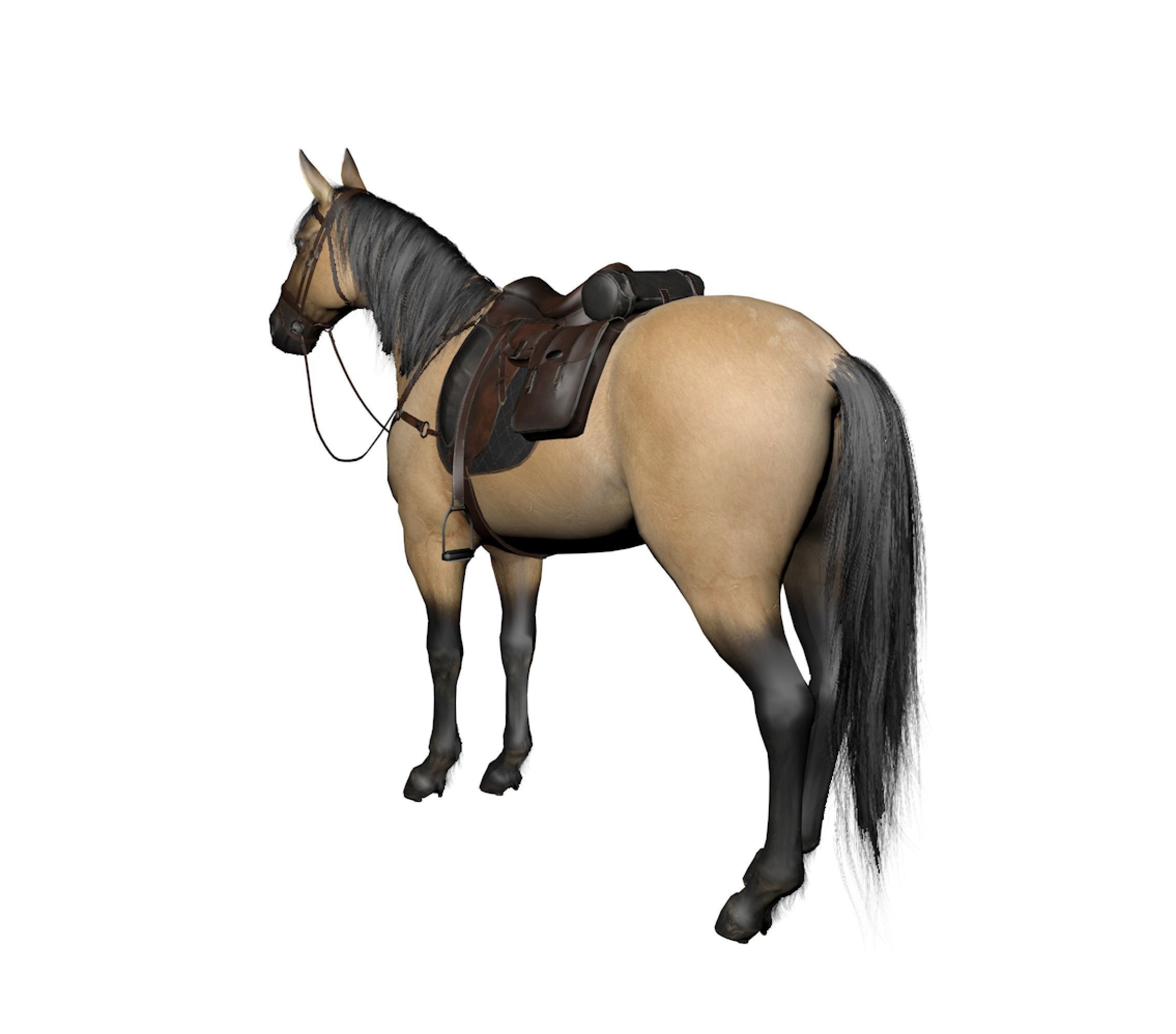 horse2 horse with saddle 3D model_2
