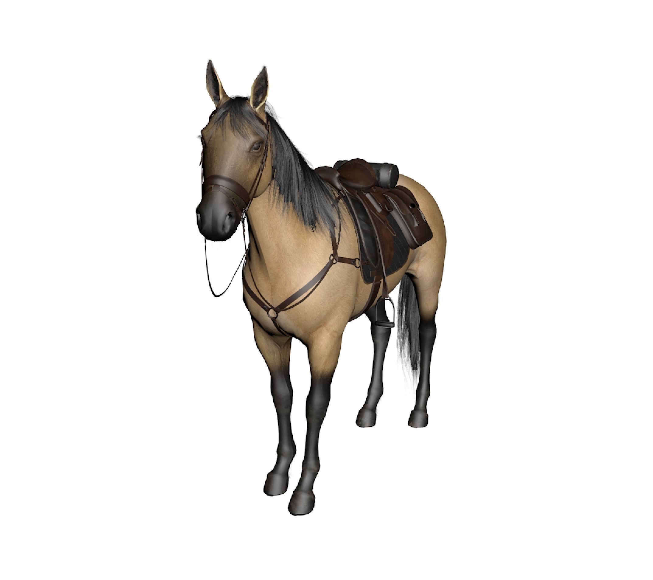 horse2 horse with saddle 3D model_1