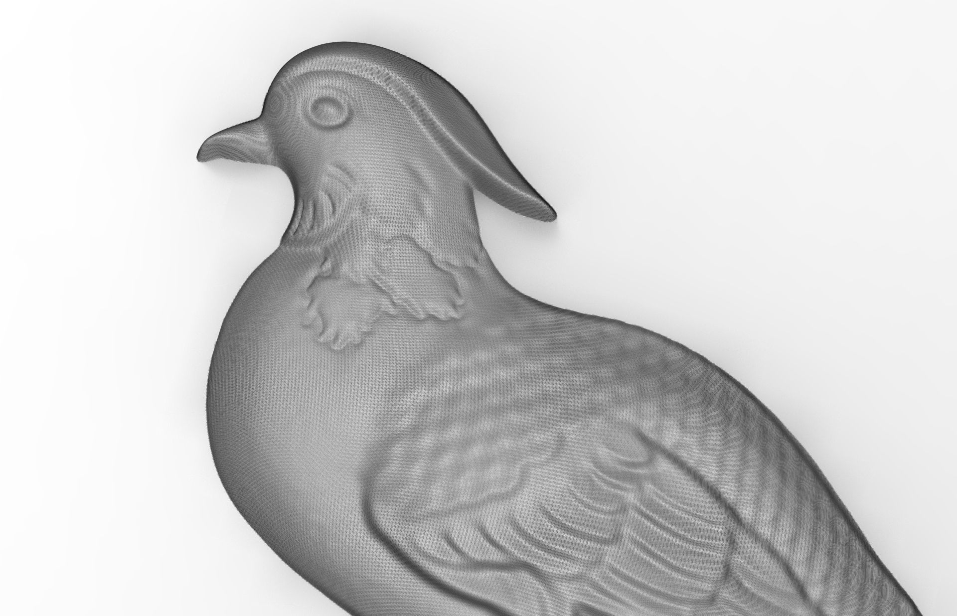 pheasant 3d model relief details  3D print model_4
