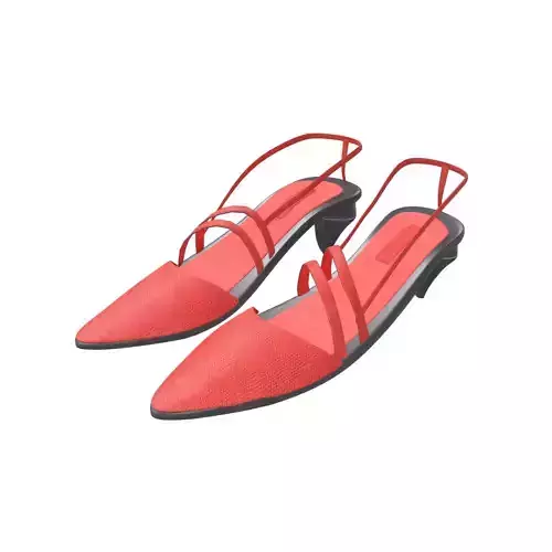 Medium Heel Shoes v2 005