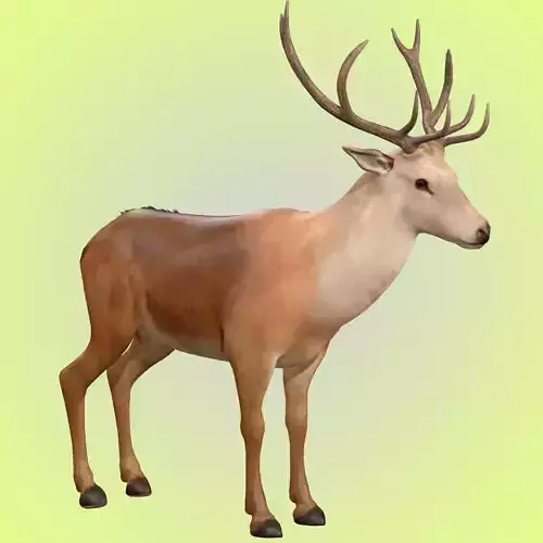 Deer Rig 3D model