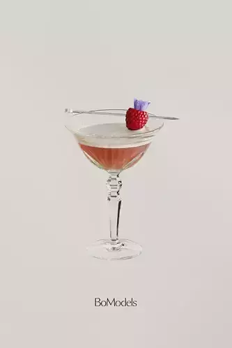 Cocktail French MartinI 3D model