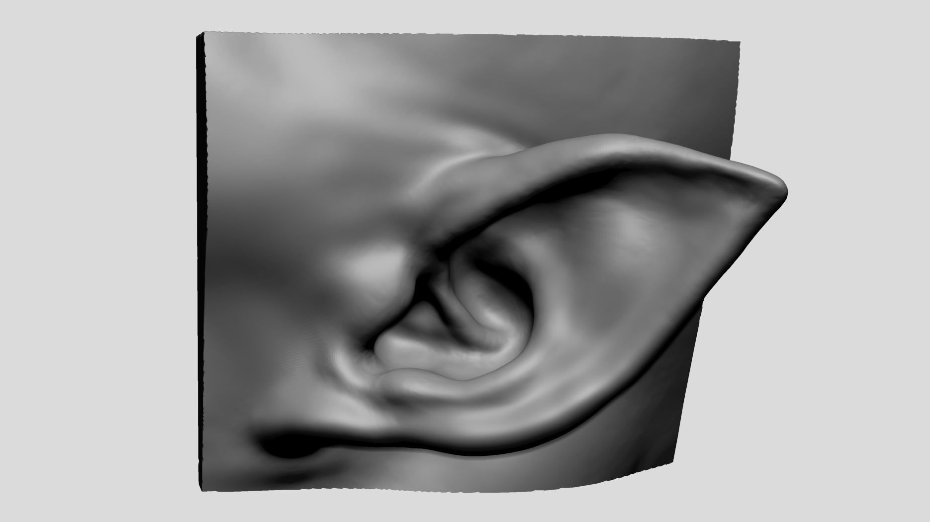 Ear Models 3D model_3