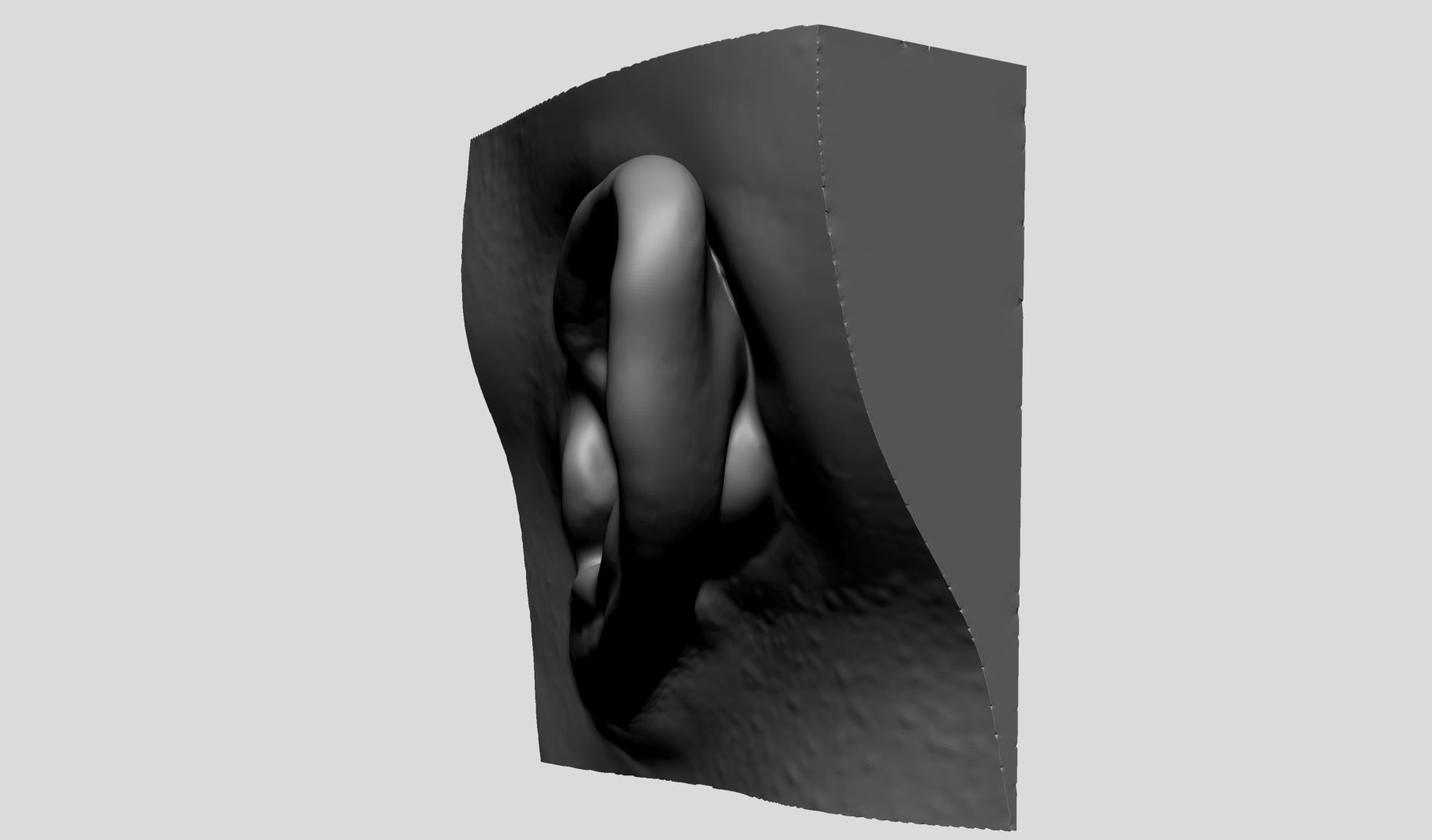 Ear Models 3D model_10