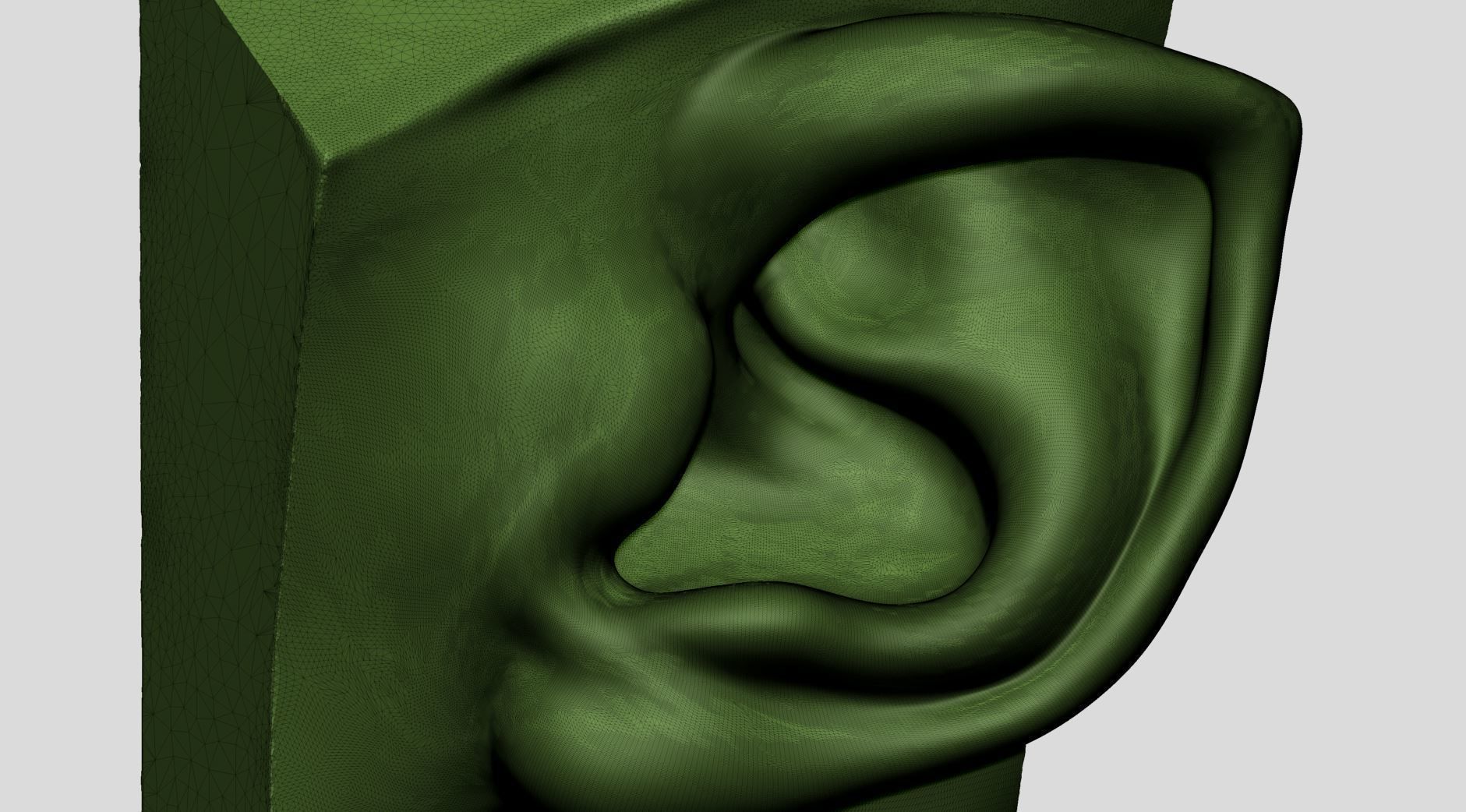 Ear Models 3D model_15