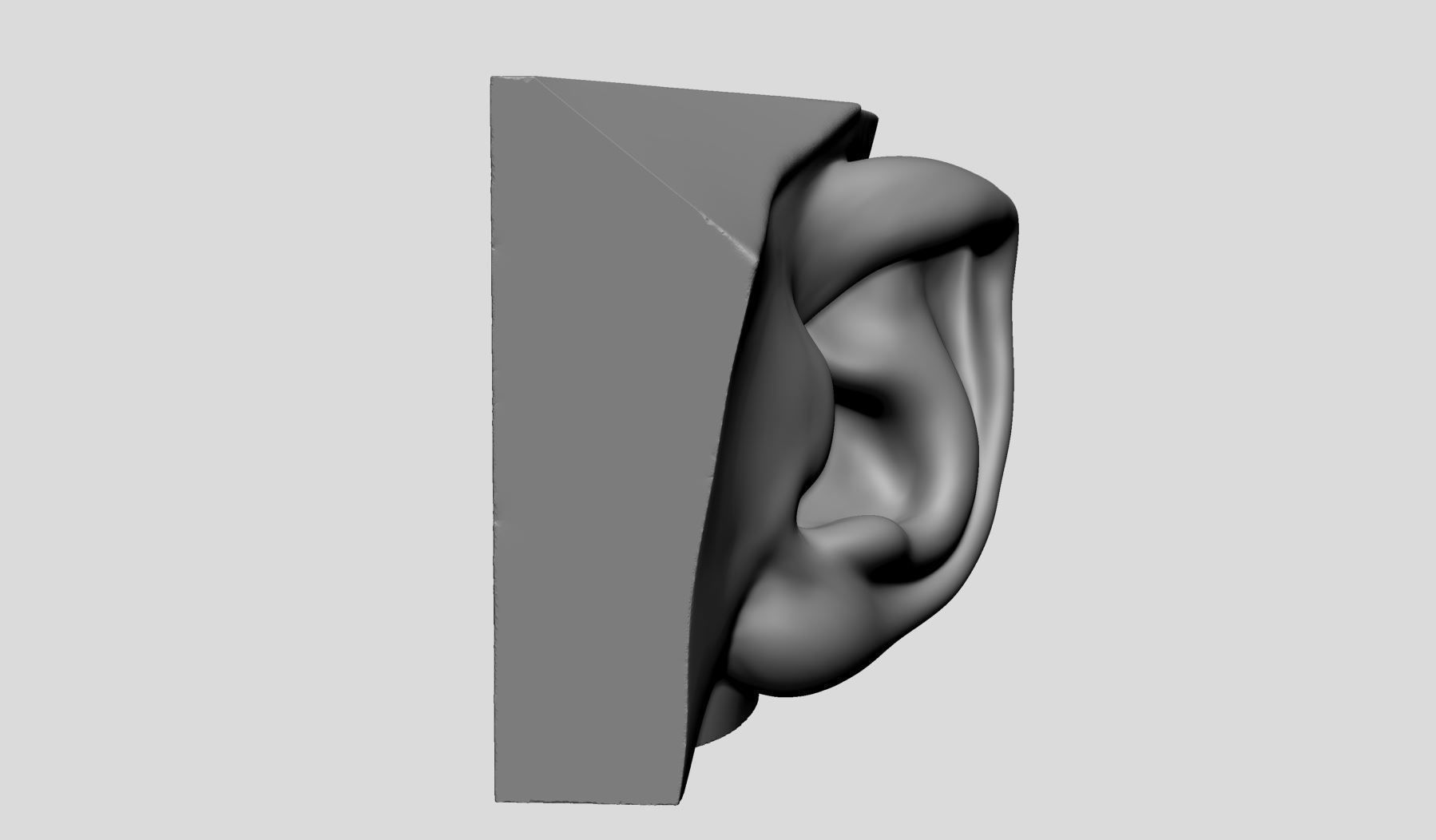 Ear Models 3D model_6