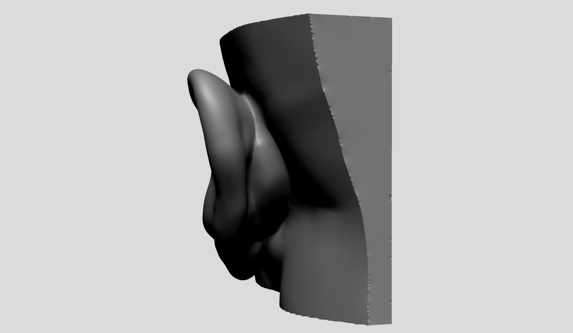 Ear Models 3D model_14