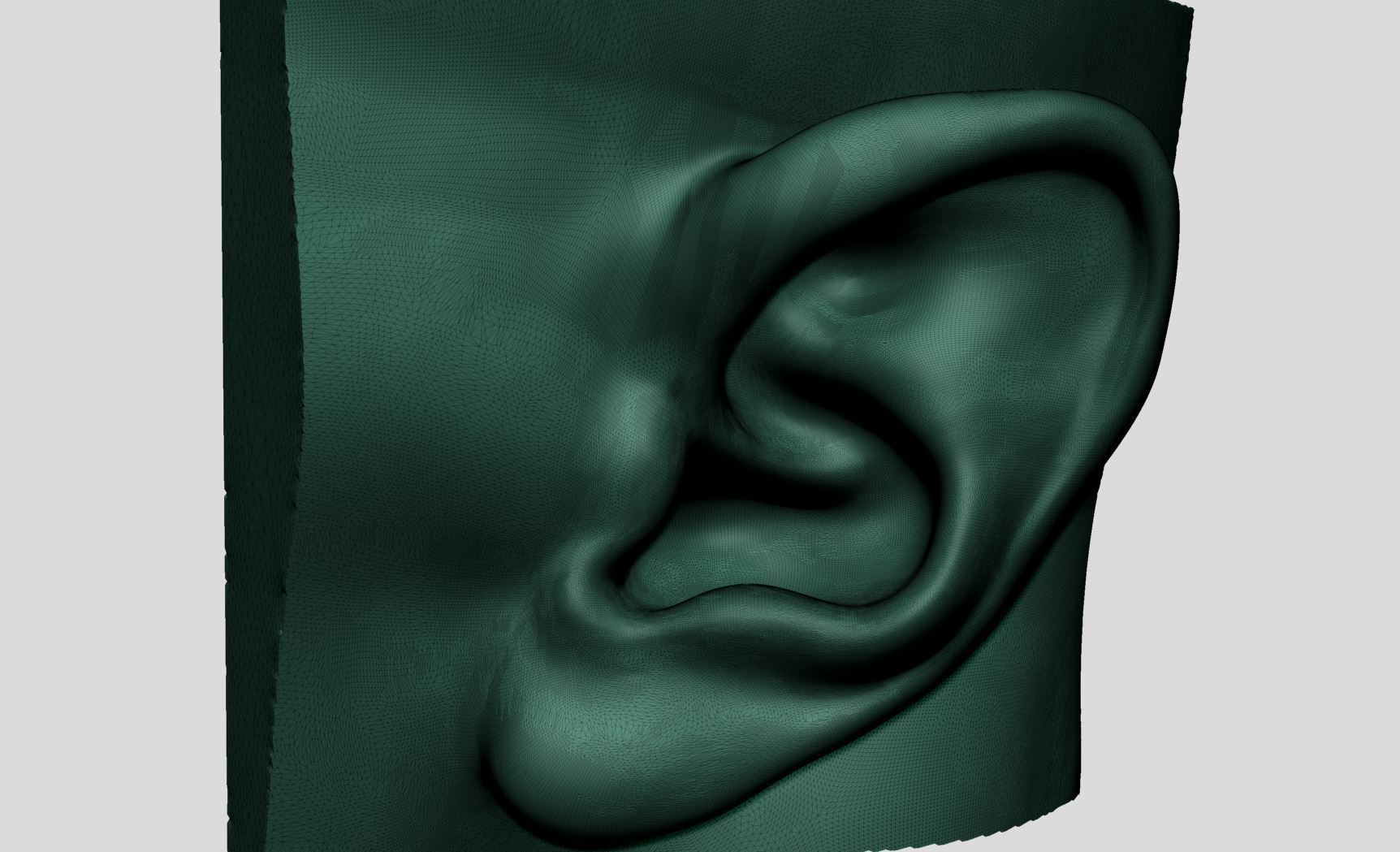Ear Models 3D model_18