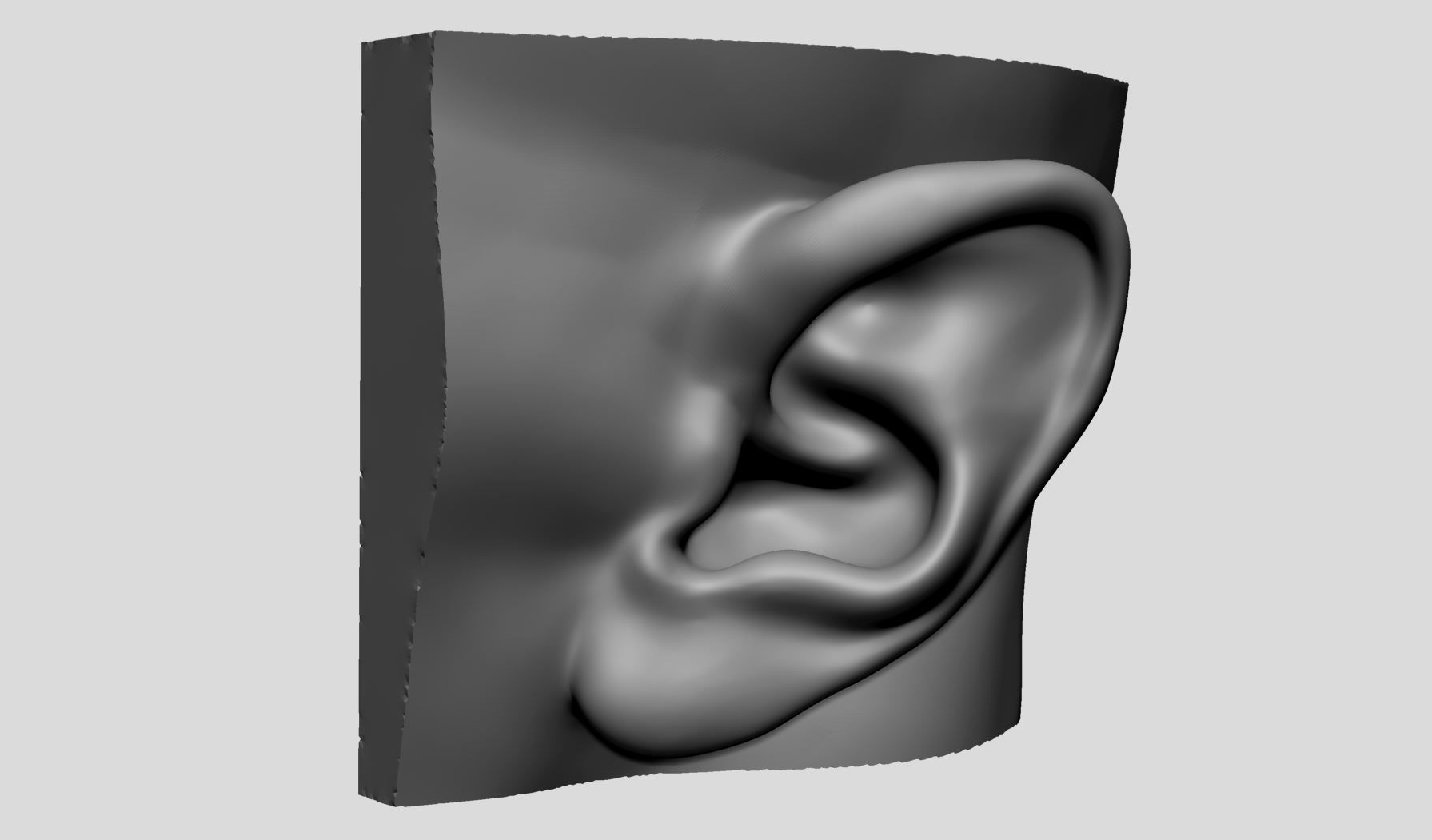 Ear Models 3D model_13