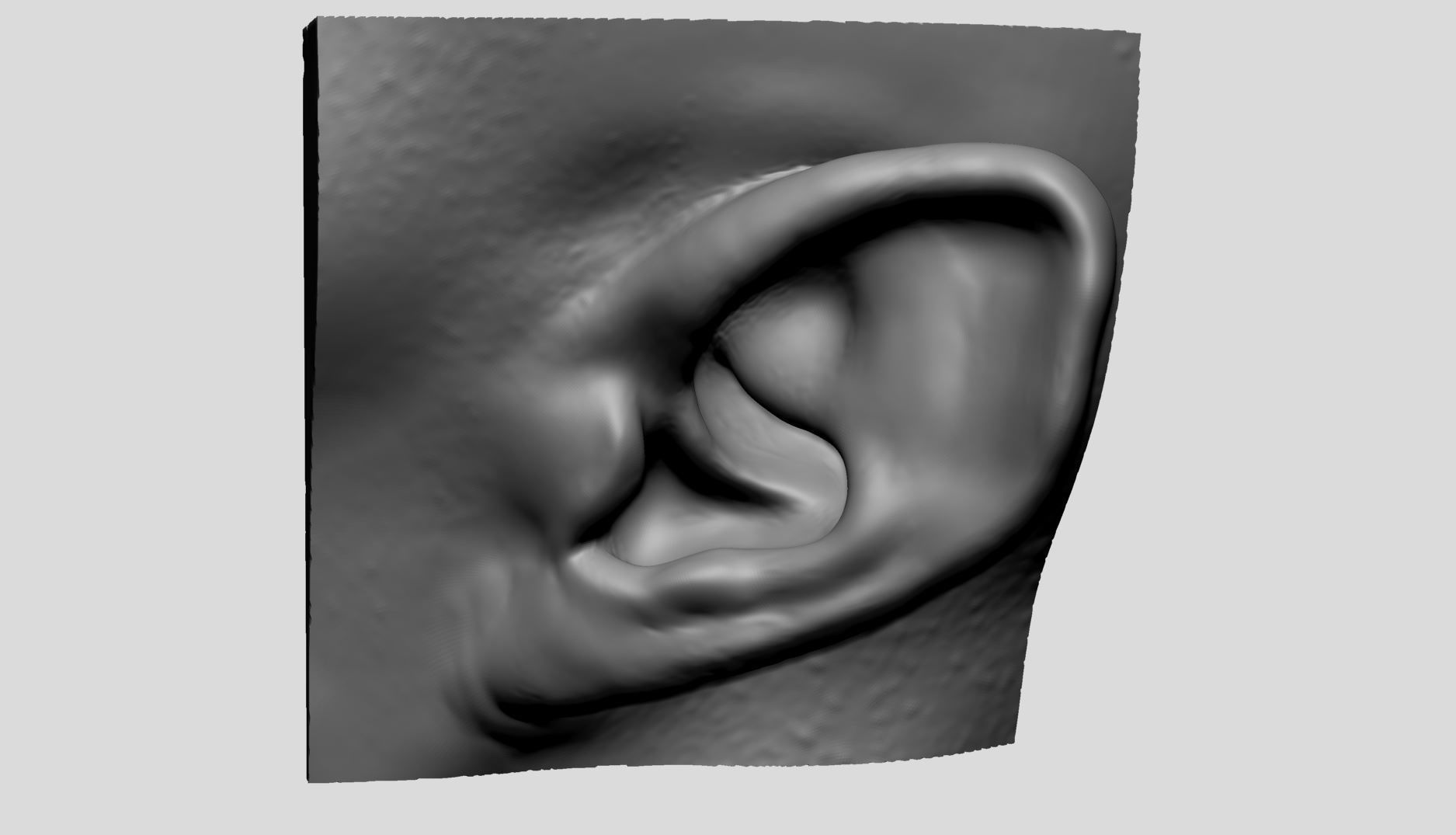 Ear Models 3D model_2