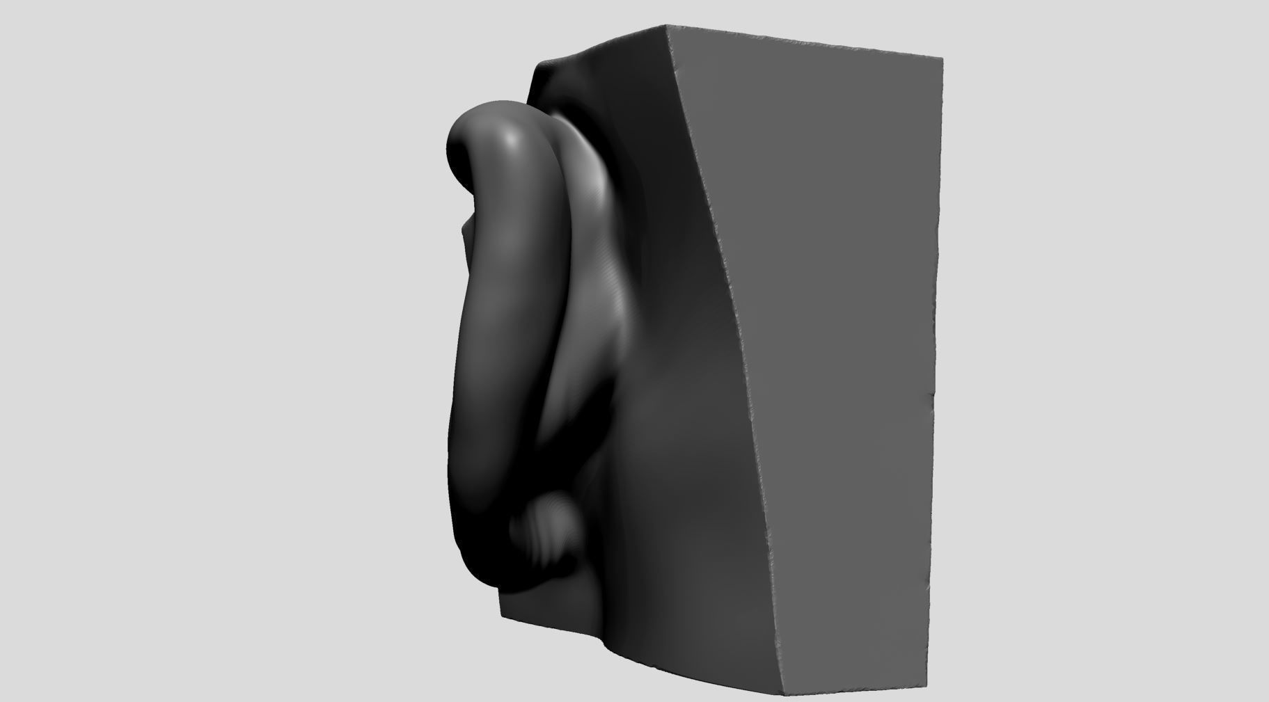 Ear Models 3D model_8