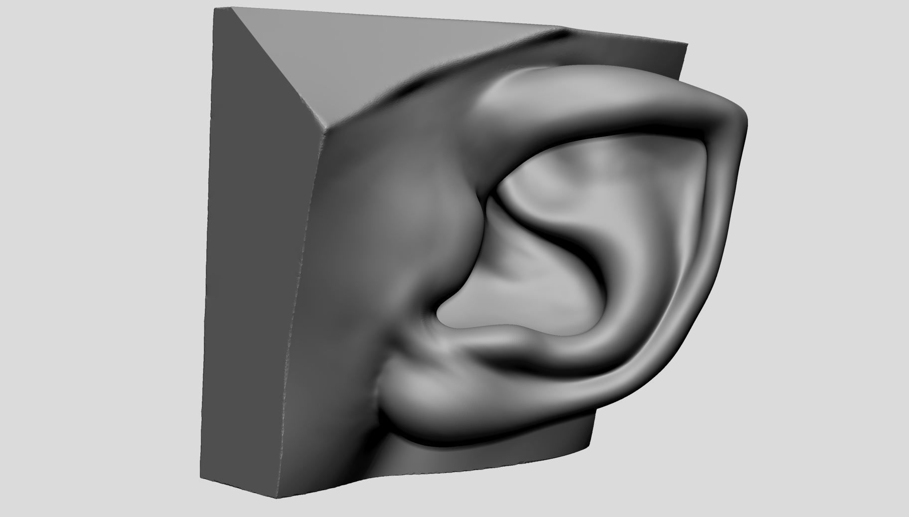 Ear Models 3D model_5