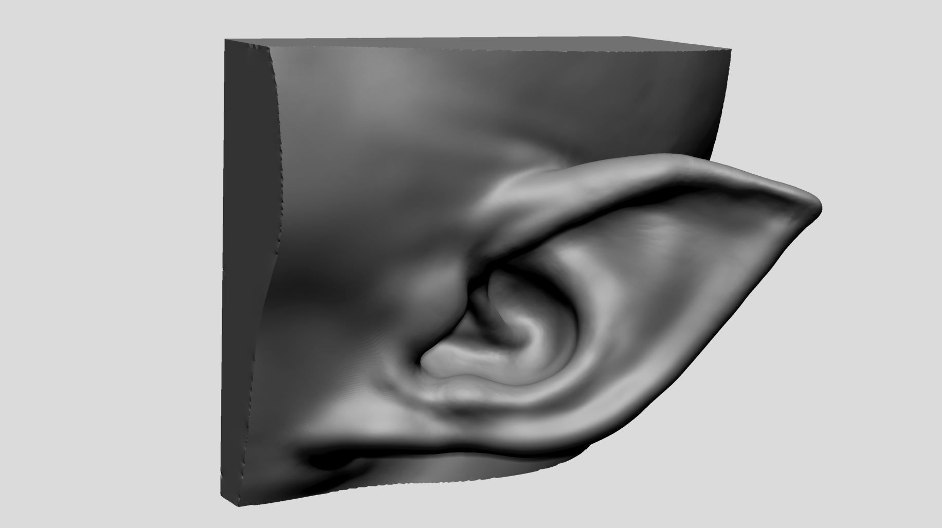 Ear Models 3D model_11