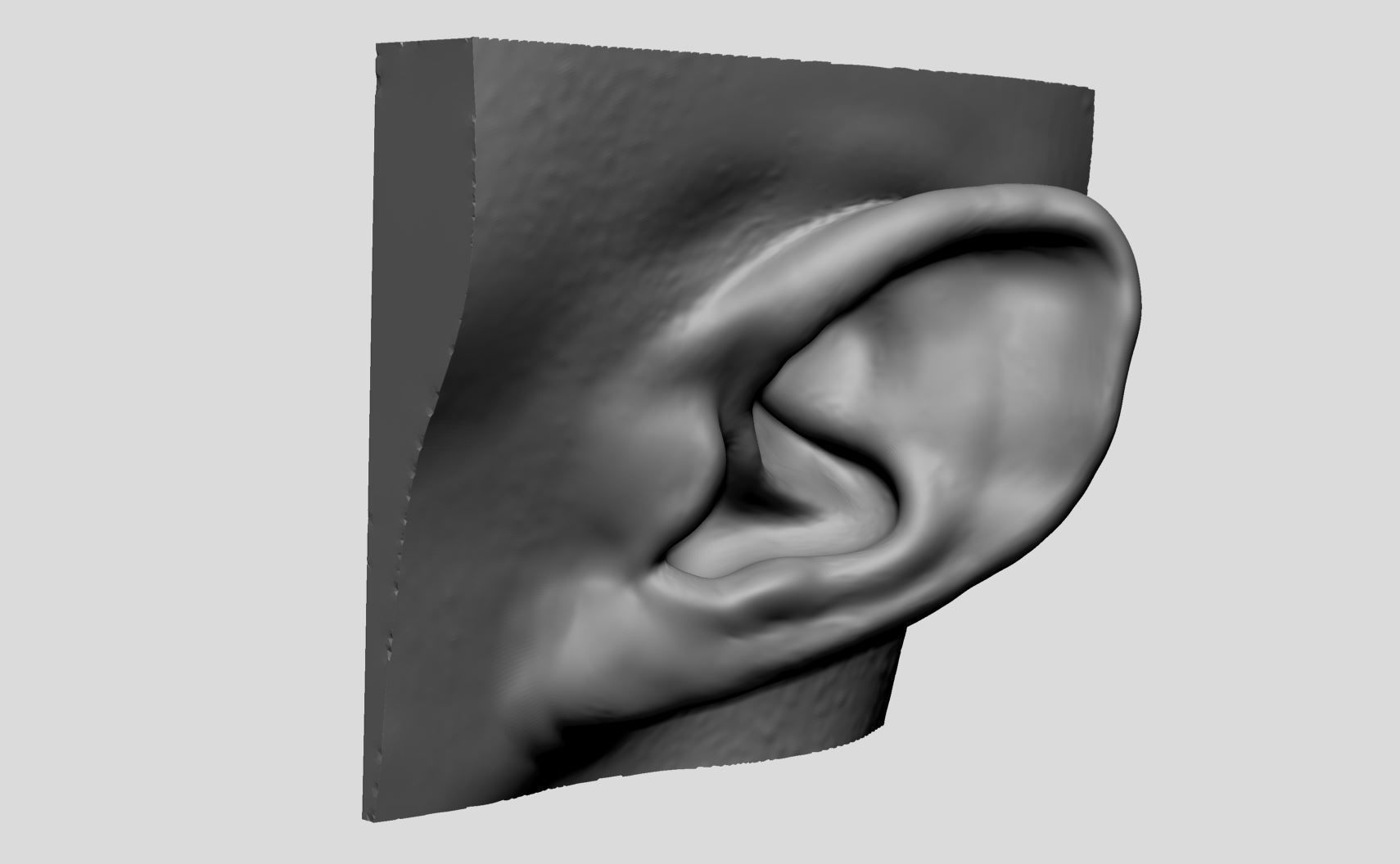 Ear Models 3D model_9
