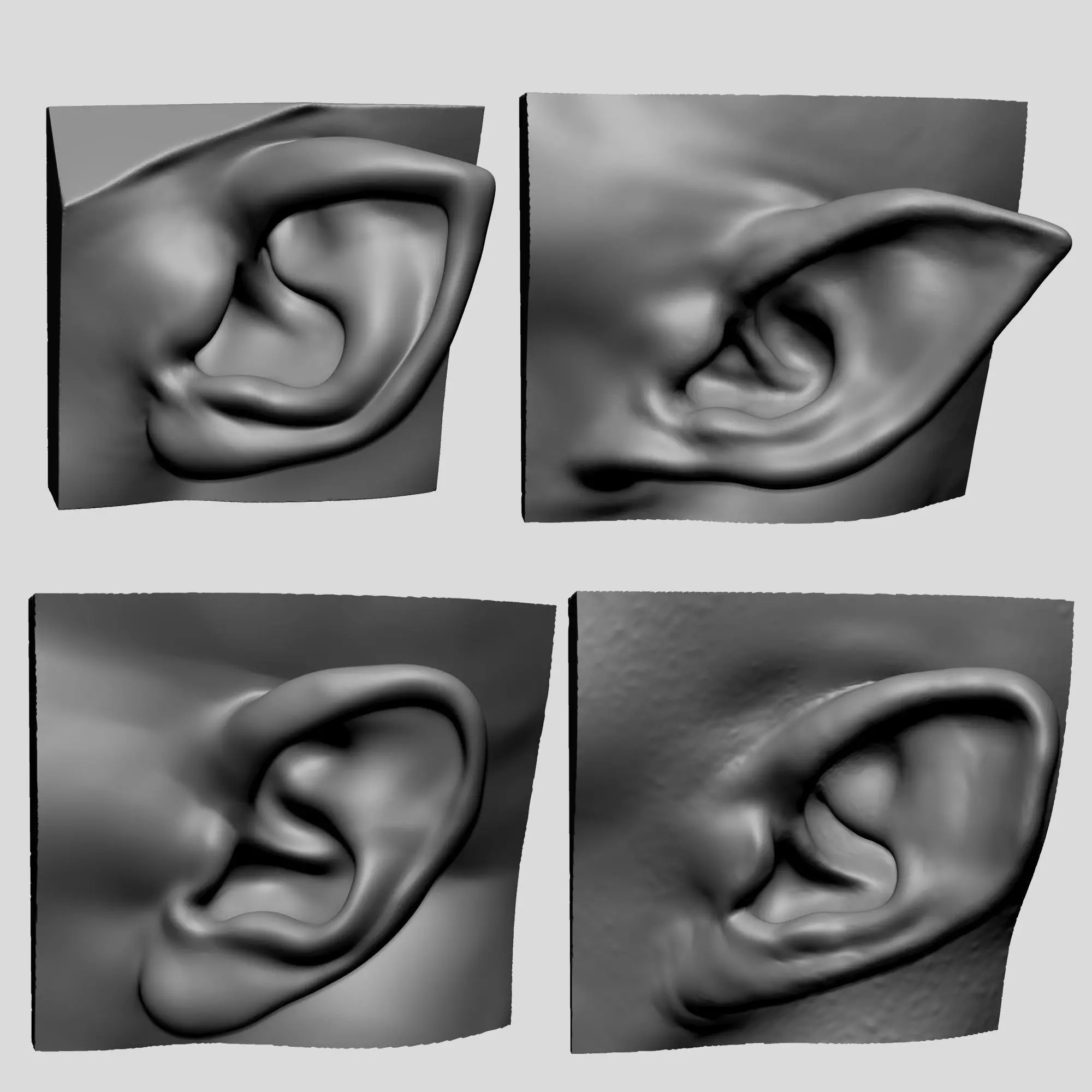 Ear Models 3D model_0