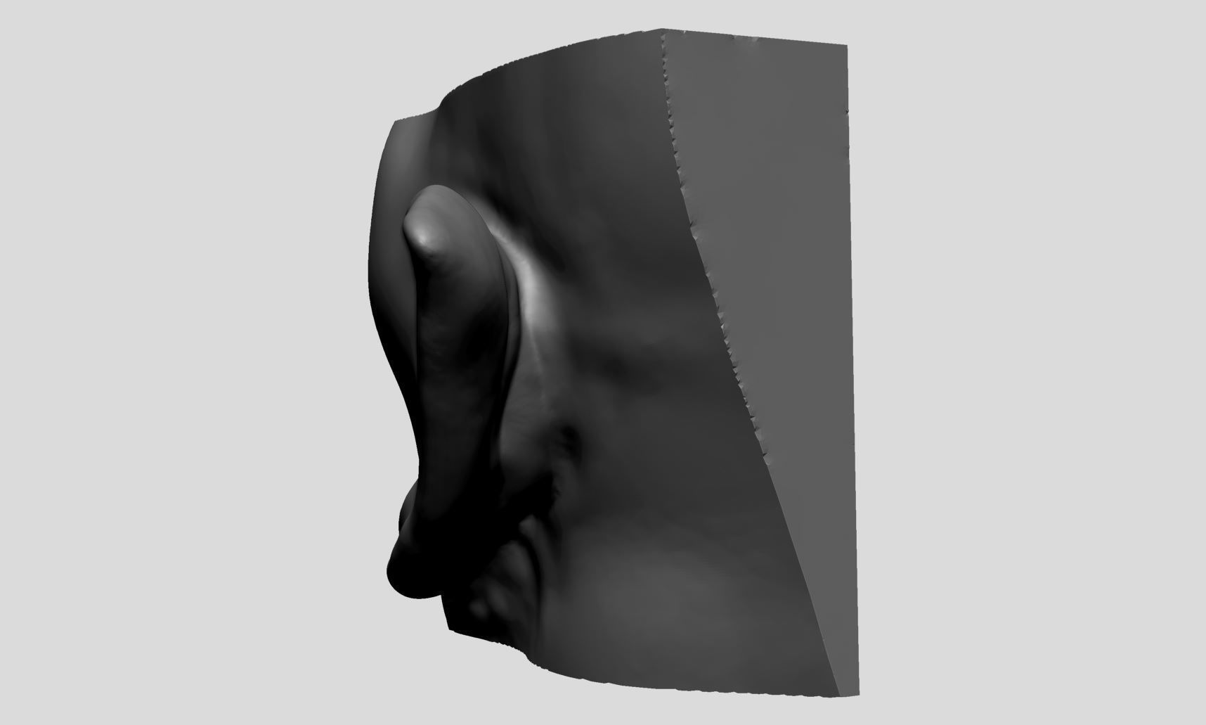 Ear Models 3D model_12